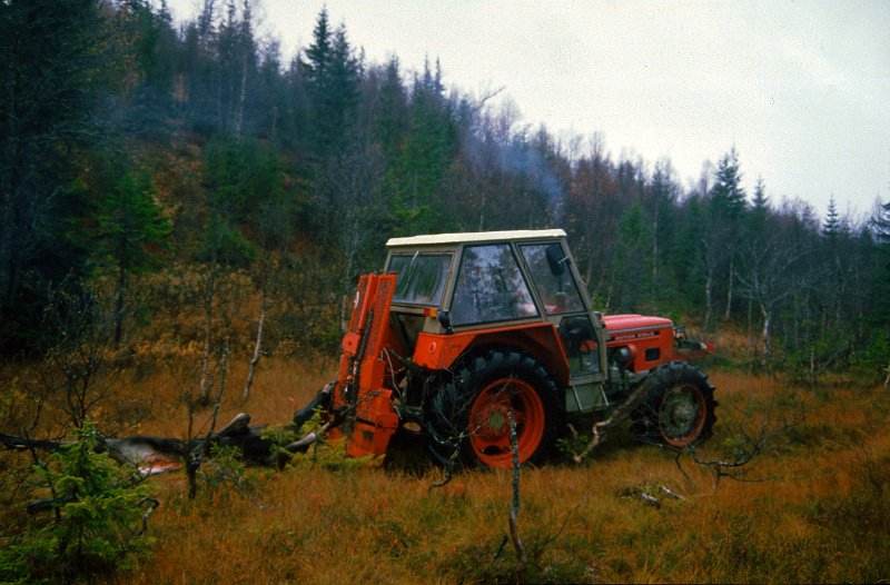 1985_10.jpg - Her har oksen blitt tatt på slep bak Zetor'n hass Jørgen Wenn