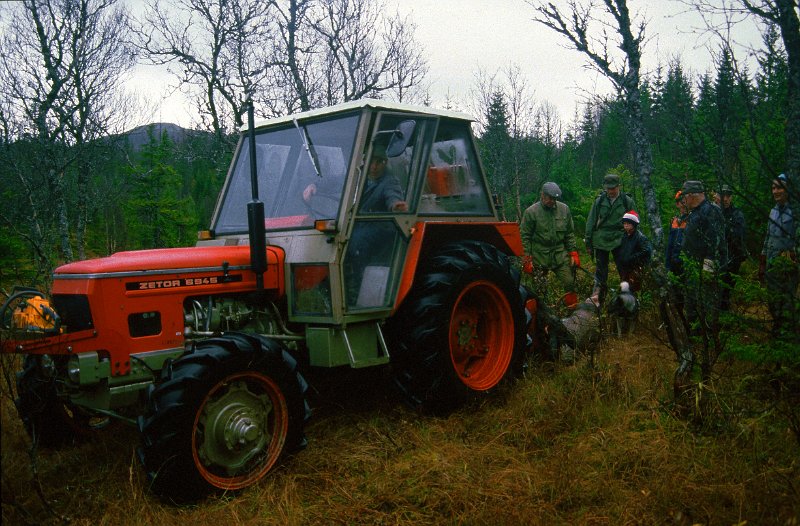 1985_13.jpg - Skikkelig doning for framfrakt av elg, - Zetor 6945 med firehjulstrekk.