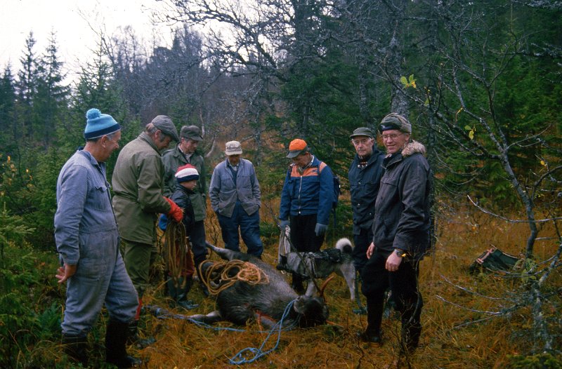 1985_15.jpg - Første etappe av frakta gikk med håndkraft, men det var rikelig med dramannskap. F.v: Bjarne Stokdahl, Gunnar Amdal, Bård Nonsstad, Birger Nonstad, Jørgen Wenn, Arvid Wennberg, Jon Amdal, Odd Bjørkli