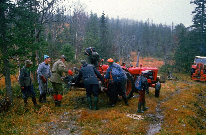 1985_17.jpg - Omlasting i Furuskogmyra