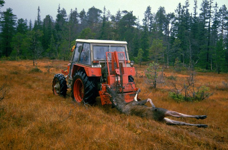 1985_19.jpg - Jørgen, Zetor'n og firspiringen ved Rundberget inne i Vasstrupan.