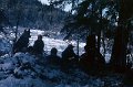 1986_03