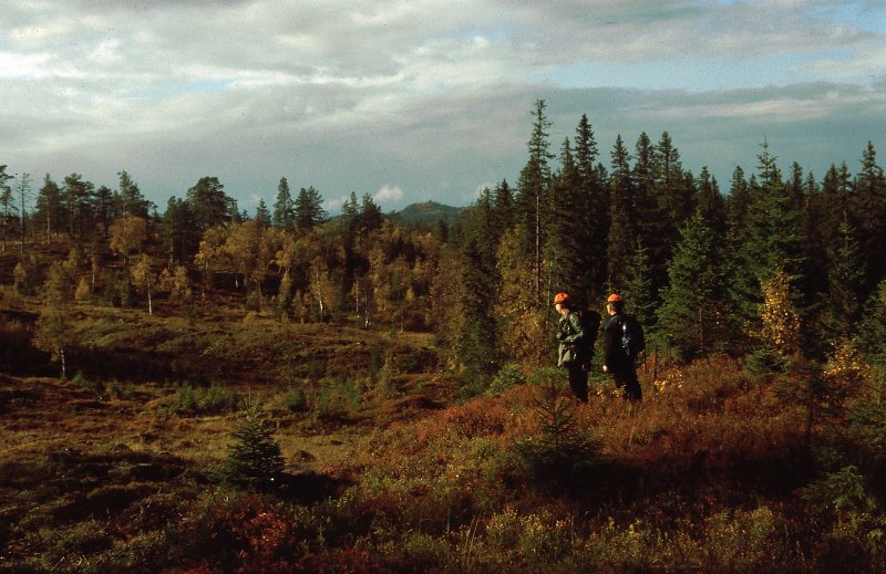 1989_01.jpg - Birger og Arvid på vei mot poster i gruppen øst for Nygruvkjølen