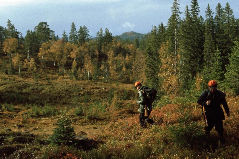 1989_02.jpg - Birger tar posen lengst vest, og Arvid går litt lenger østover