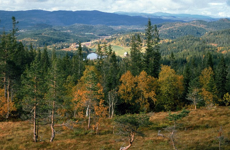 1990_29.jpg - Vennagrenda sett fra Rennsjøkjølan