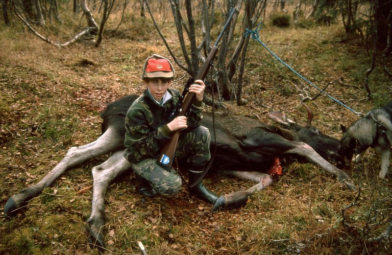 1990_36.jpg - Knut i positur på elgoksen. Han satt på post sammen med Kåre som felte elgen
