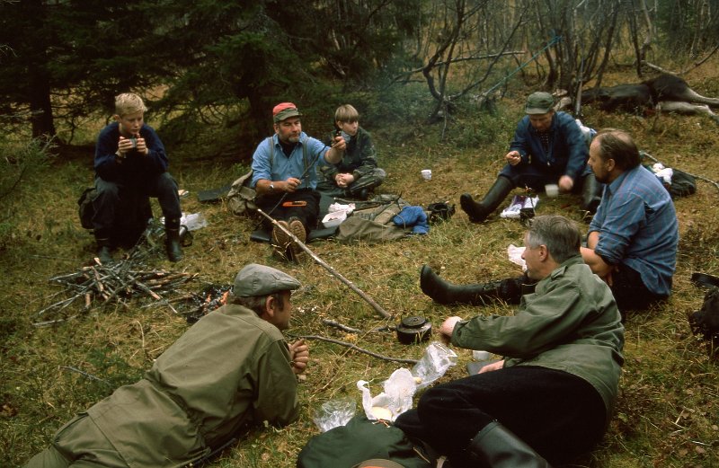 1990_41.jpg - Fullt Indre Venna Elgjaktlag + to poder og en piggokse i bakgrunnen