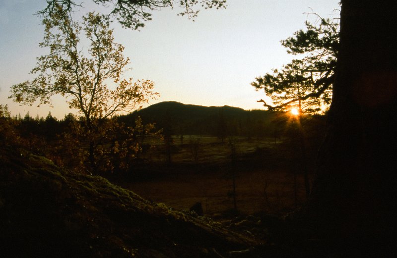 199_01.jpg - Første dag i elgjakta 1992 startet Indre Venna Elgjaktlag med postering inne på Rennsjøkjølan. Litlfjellet i bakgrunnen