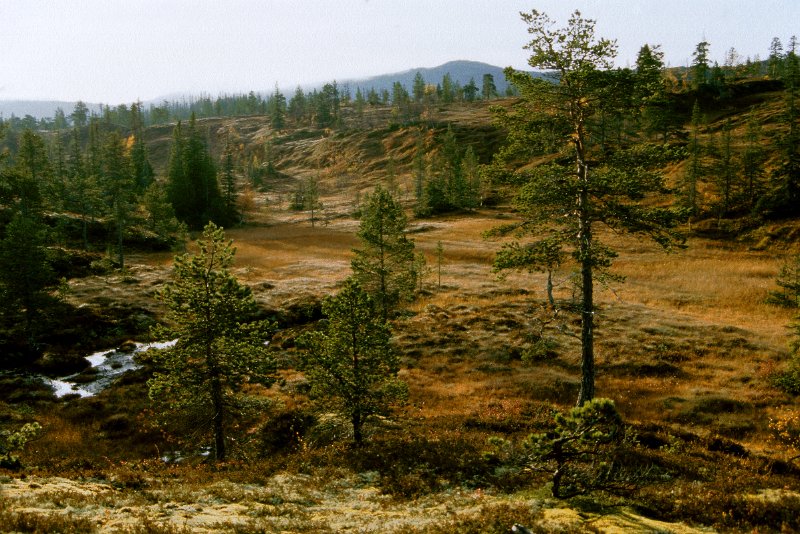 199_05.jpg - Odd tok pås innerst på Rennsjøkjølan.  Kleppen i bakgrunnen