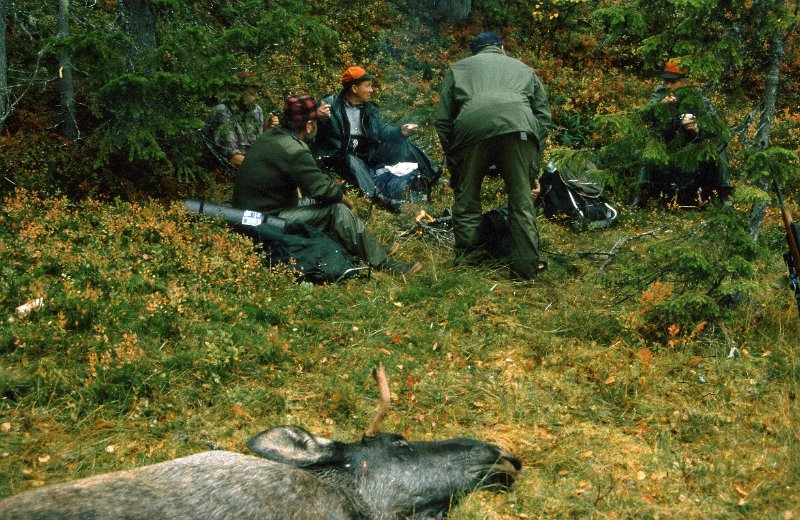 199_18.jpg - Det ble kaffekok og flæsksteiking ved oksefallet