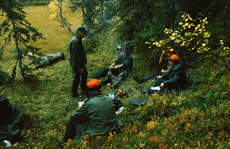 199_19.jpg - Indre Venna Elgjaktlag har felt en 4-spiring og kokt kaffe på Nedre Stakkjølen