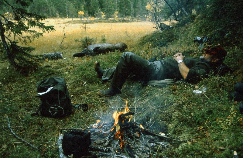 199_20.jpg - Skytter Kåre i forgrunnen og oksen og en elghund i bakgrunnen