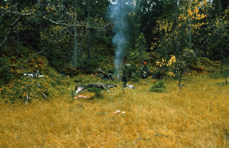 199_23.jpg - Vi venter på fraktdoning