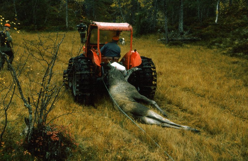 199_26.jpg - Her går det oppover myrstrupen mellom Nedre og Øvre Stakkjølen