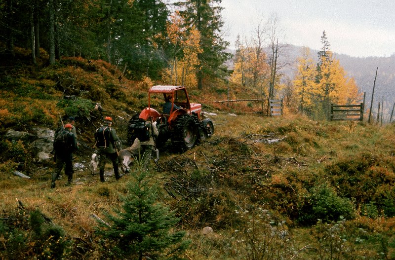 199_27.jpg - Vi er framme ved grinda ovafor jarlet i Inervenna