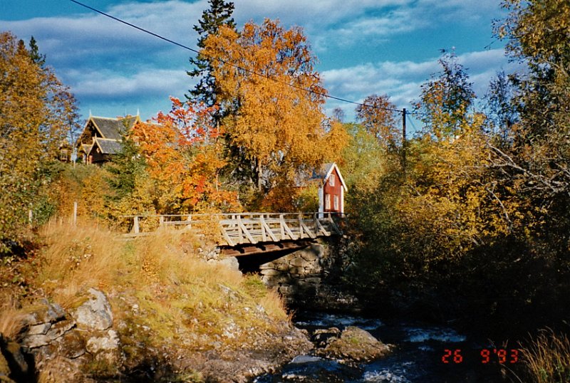 1993_0007.jpg - Vi samlet skinn for videreforsendelse til Rieber i Bergen ved vognbua på Verket. Her har høstfargene slått ut