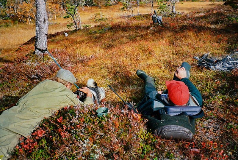 1993_0008.jpg - Hundekarene Gunnar og Trygve slapper av ved Snøfonndalsreina