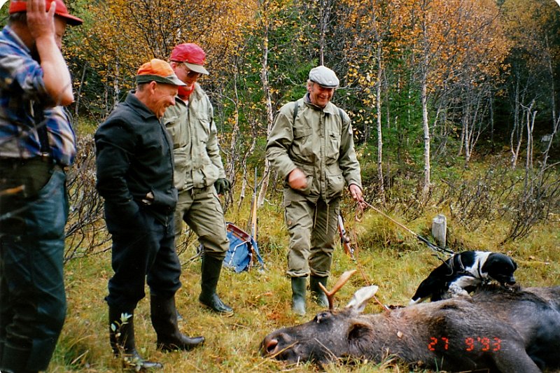 1993_2_0006.jpg - Trygve med Raja stillet innpå, og felte en seksspiring helt innest sørøst i Stordalen.