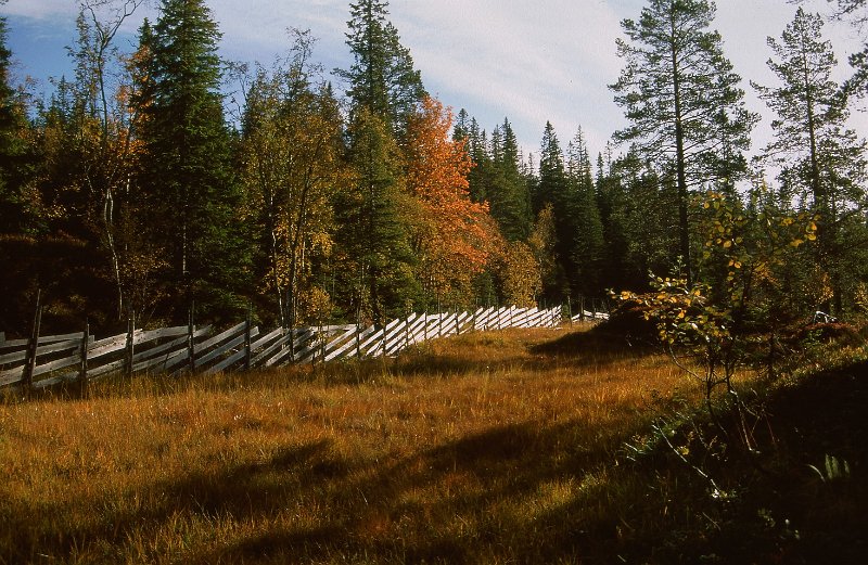 220_34.jpg - Skigard i marka nord for Rommet og Rødmyrdalen