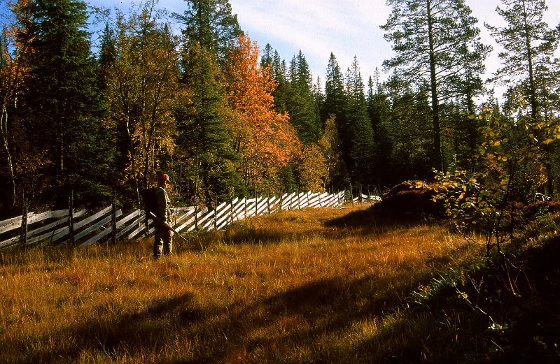 220_35.jpg - Jonny Hammer på vei mot post på Furuskogmyra