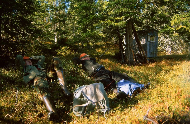 220_36.jpg - Her er det  rast i Furuskogmyra