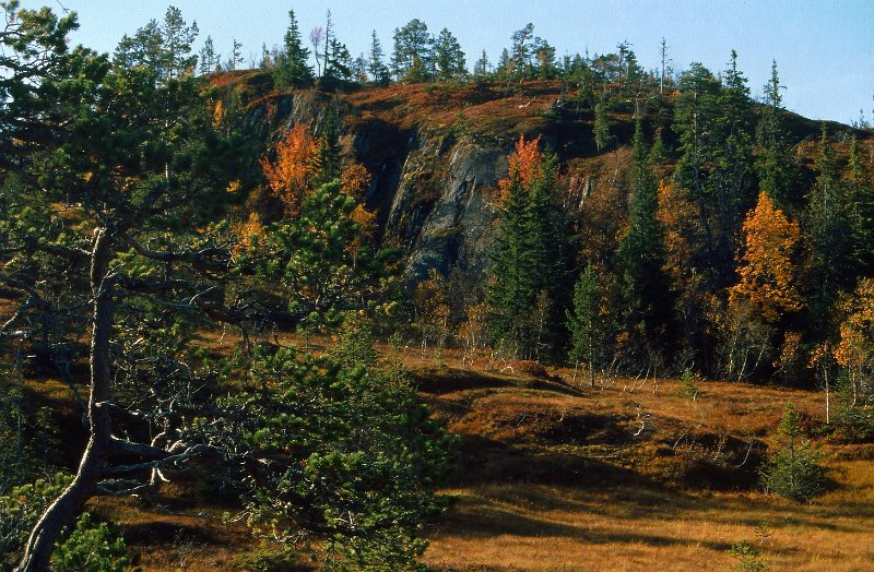 220_48.jpg - Høstfarger ved Aunberget