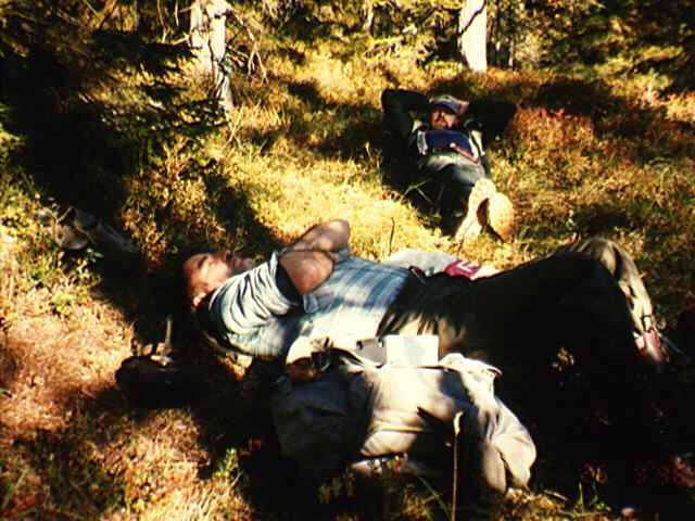 47427_20.jpg - I sånt vær fristes man til å ta et ekstra kvarter på ryggen mellom øktene/drevene