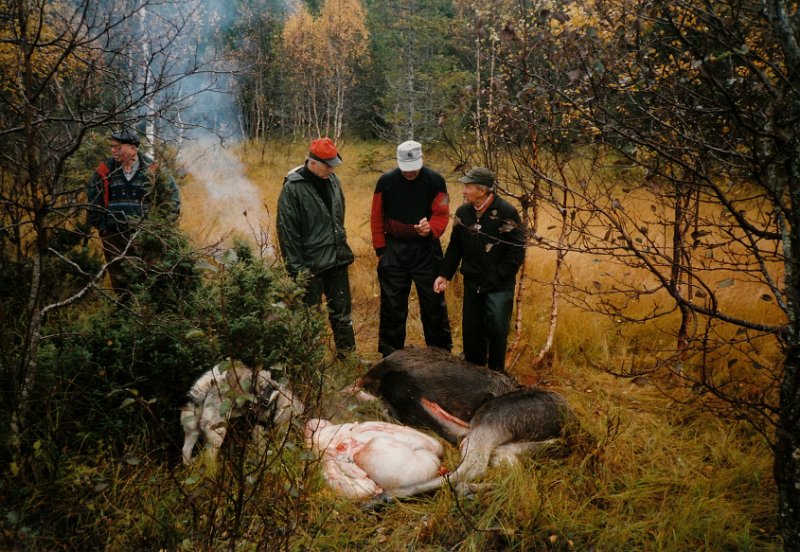 1997_0002.jpg - Gjest denne dagen er Olaf Høiby, Kåres onkel. Ellers ser vi bakelgen, Birger, Gunnar og Arvid