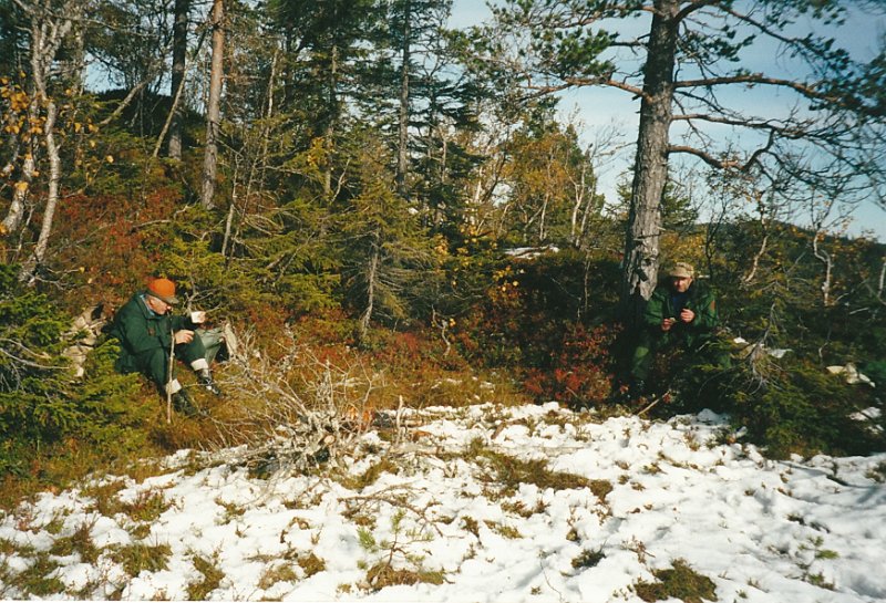 2001_0007.jpg - Det falt litt snø, slik at vi hadde sporsnø et par dager, men det hjalp oss ikk på fellingsstatistikken