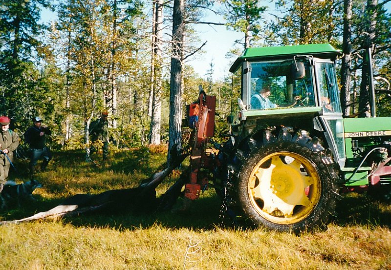 2001_2_0003.jpg - Per Hammer med John Deer har hektet både okse og kalv i vinsjen