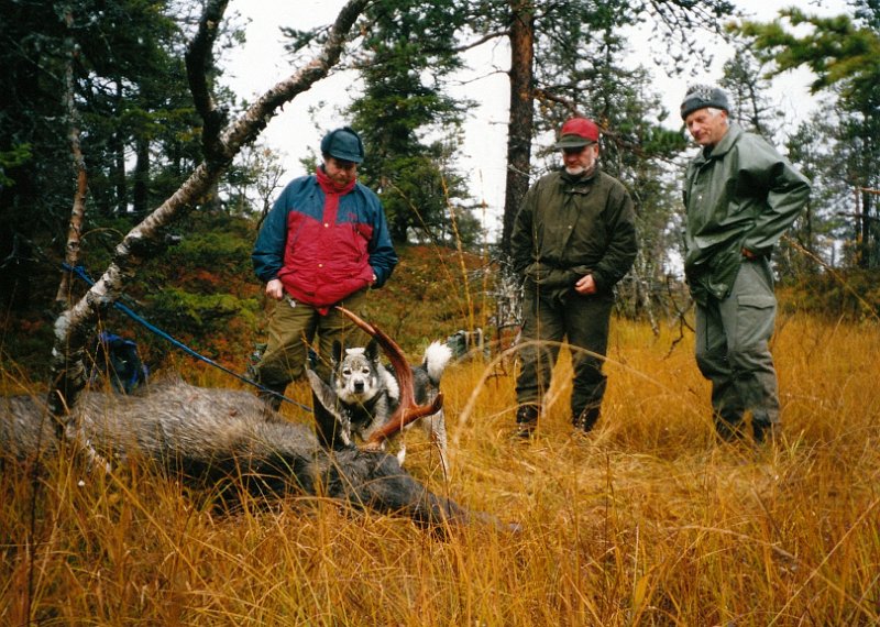2002_0003.jpg - Hunden vi har her, er en vi lånte av en svenske som bodde på Selbustranda