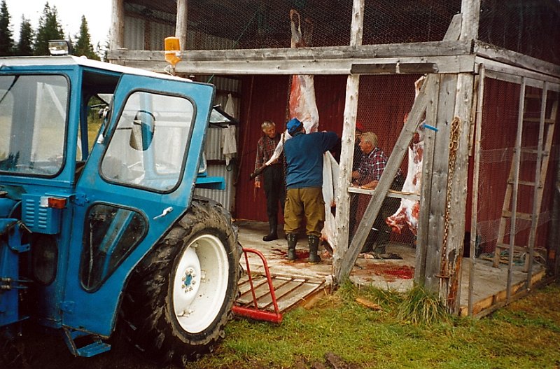 2003_3_0004.jpg - Slakting i full gang i slakteriet i vognbua i Rommet