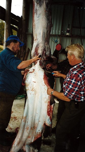 2003_3_0006.jpg - Nesten ferdig