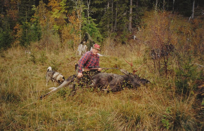 2004_3_7.jpg - Odd felte en 6-spiring i Vennadalen den andre dagen i elgjakta.