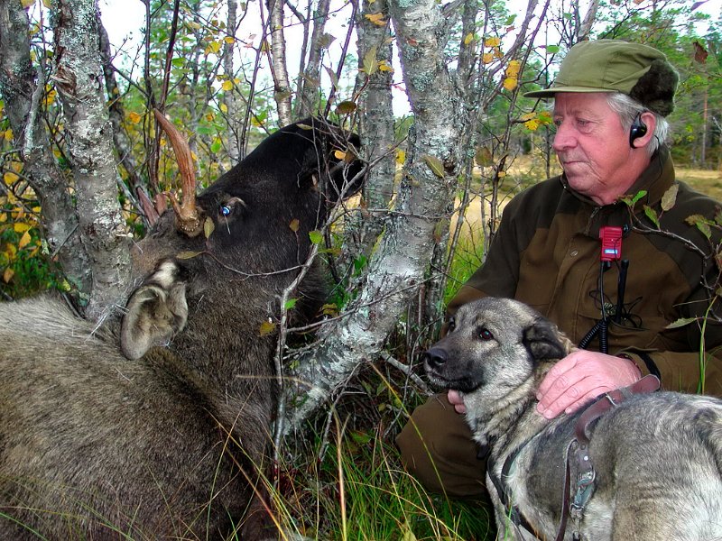 Epsn0012.jpg - Oksen, Dixi og Jostein