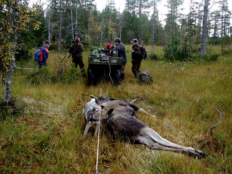 Epsn0028.jpg - Her er vi klar for oppvinsjing