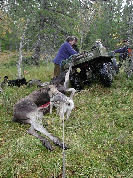 Epsn0037.jpg - Så ja