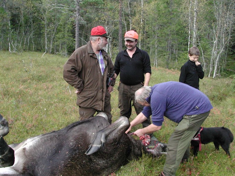 EPSN0025.JPG - Arbeidsoppgavene ser ikke ut til å være korrekt fordelt