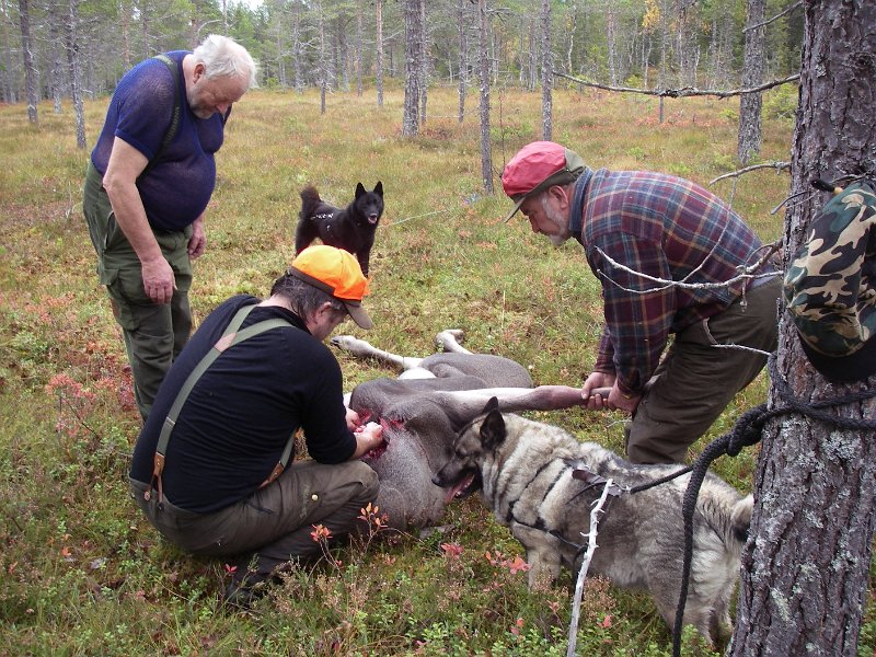 IMGP0986.JPG - Trygve, Frode, Toto, Dixi og Kåre