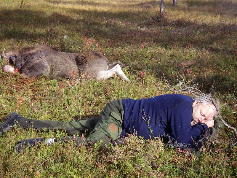 IMGP0991.JPG - Kalv og "okse"