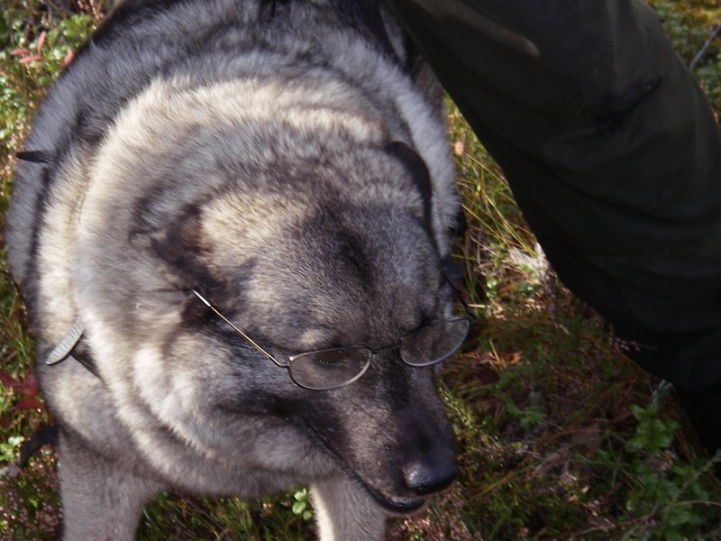 IMGP1000.JPG - Nå, - skal vi se