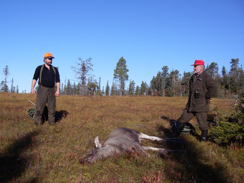 IMGP1026.JPG - Frode og Kåre på hver si side av kalven