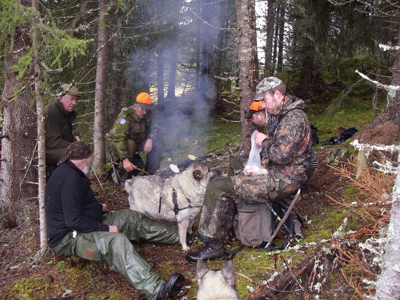 IMGP1886.JPG - Jostein, Trygve, Stein, Frode og Torgeir