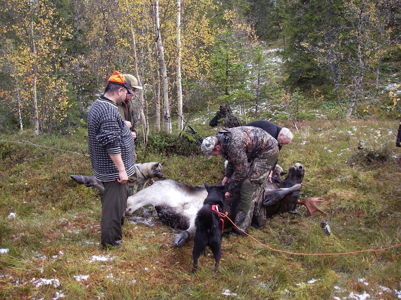 IMGP1898.JPG - Torgeir er knivfører