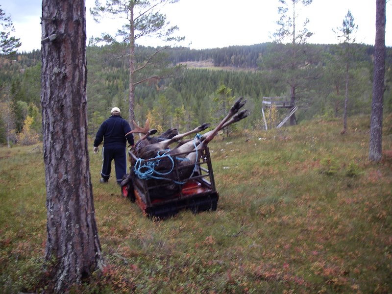 IMGP1911.JPG - Her passeres tårnet innafor skyebanen