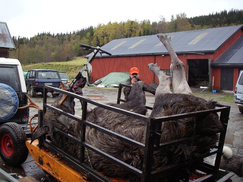 IMGP1935.JPG - 4-spiringen er ankommet Snustad Nedre Slakteri