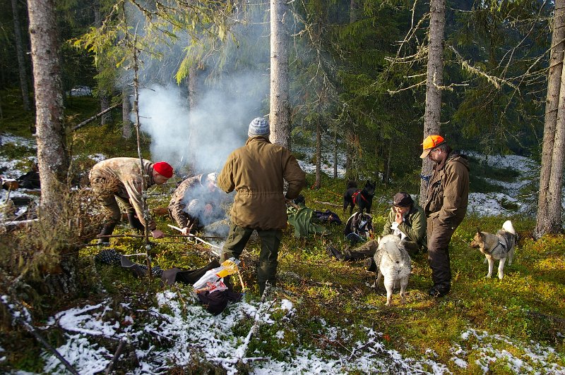 IMGP5608.JPG - Her er det kaffekok i marka mellom Volla og Brubakken. Henrik, Stein, Tor, Trygve og Frode