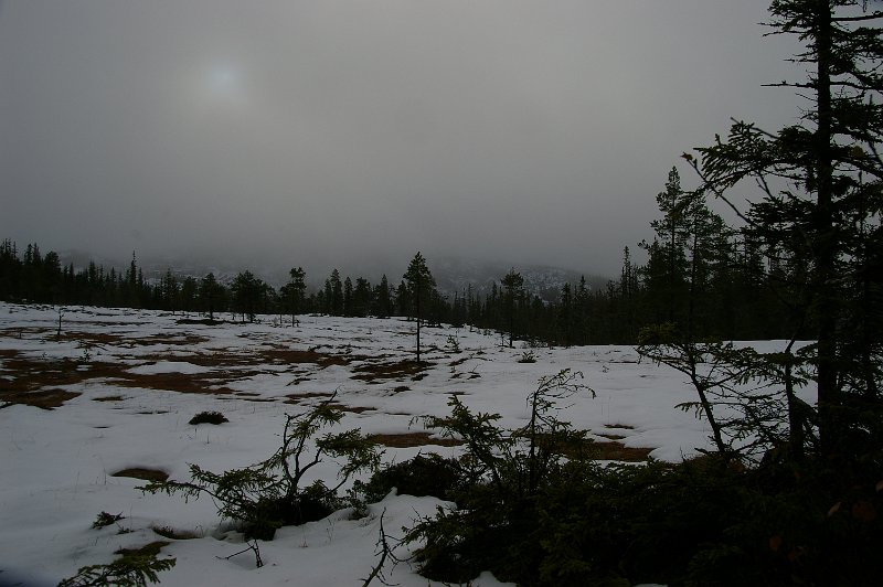 IMGP5621.JPG - Vinterlig stemning inne på Rennsjøkjølan sist i oktober 2009