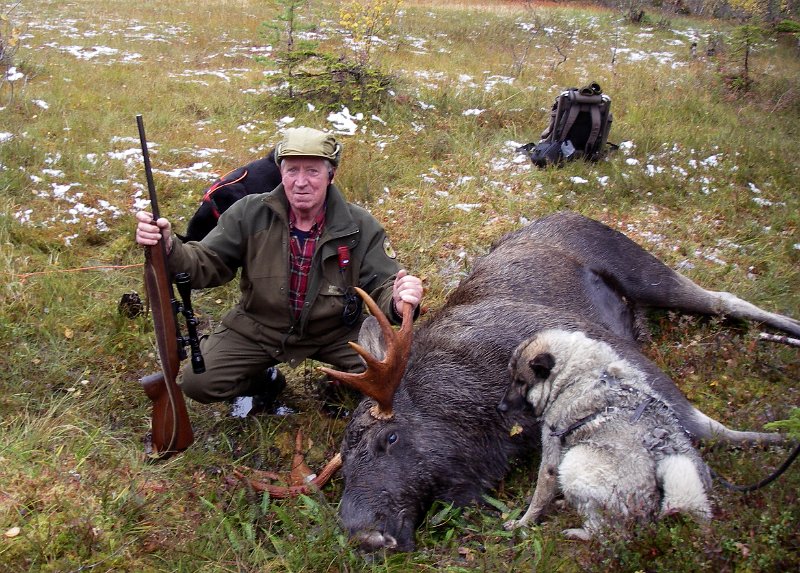 Imgp1893.jpg - Jostein felte en 8-spiring  Øst for Nonshaugen
