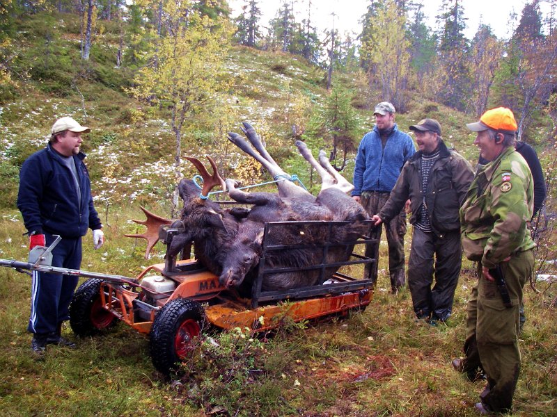 Imgp1910.jpg - Vi fikk assistanse av Torgeir Schanke med beltegående doning for frakt fram til vei